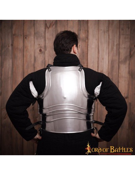 Visby scale lamellar viking armor