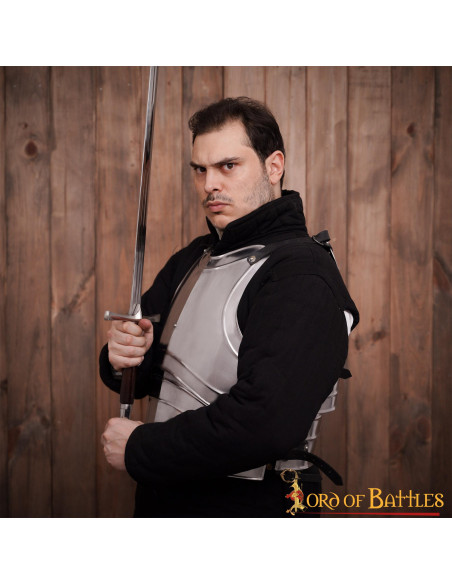 Visby scale lamellar viking armor