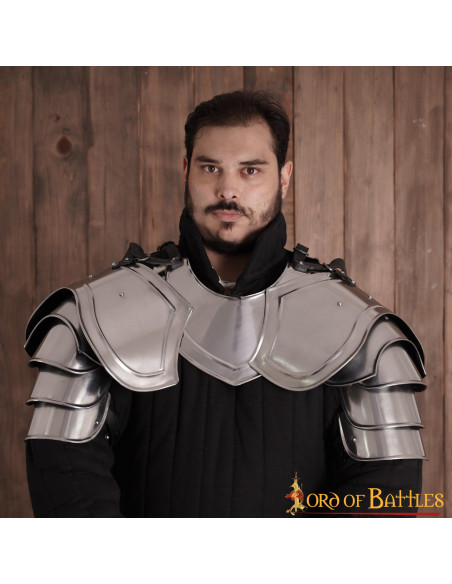 Medieval knight shoulder pads, mild...