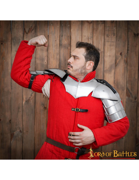 Medieval Soldier Shoulder Pads...