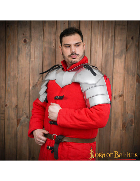 Medieval Soldier Shoulder Pads...