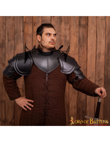 Fantasy Knight's black shoulder pads...