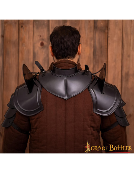 Fantasy Knight's black shoulder pads...