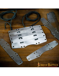 Pack 100 metallic pieces Byzantine armor