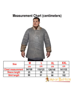 Haubergeon chain mail short sleeves round rings, natural 2