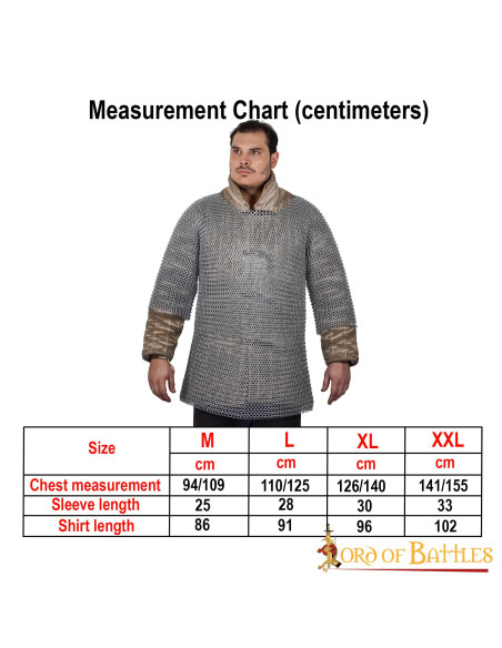 Haubergeon chain mail short sleeves...