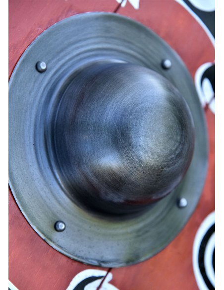 Huginn and Muninn Viking shield with...