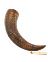 Viking drinking horn on ox horn (400-500 ml.)