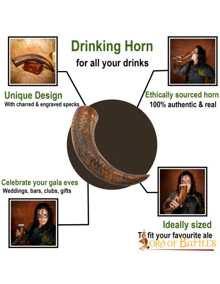 Viking drinking horn on ox horn...