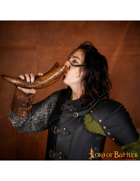 Viking drinking horn on ox horn...