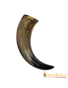 Pirate Raider drinking horn with skull 2