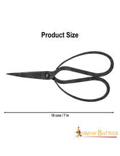 Antique Iron Hand Forged Scissors 2