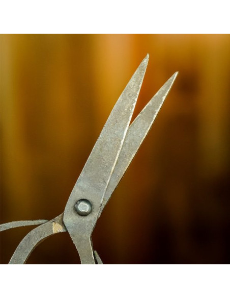 Antique Iron Hand Forged Scissors