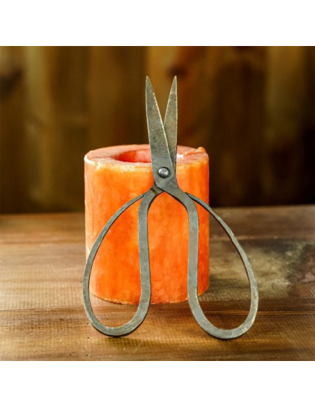 Antique Iron Hand Forged Scissors