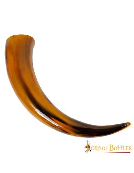 Glossy textured drinking horn,...