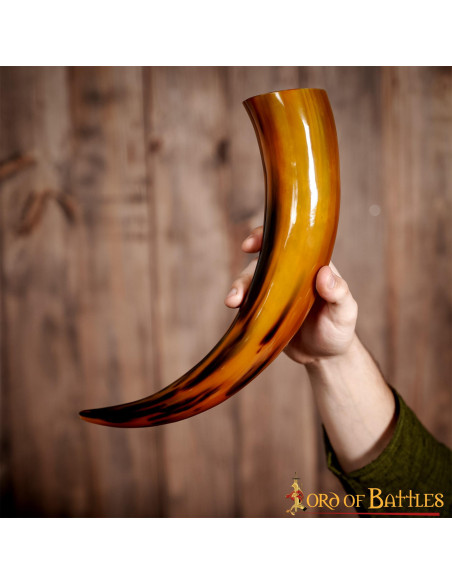 Glossy textured drinking horn,...