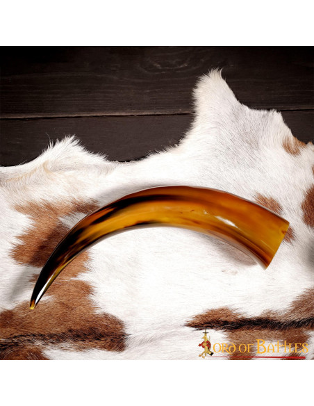 Glossy textured drinking horn,...