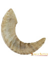 Viking drinking horn with natural texture
