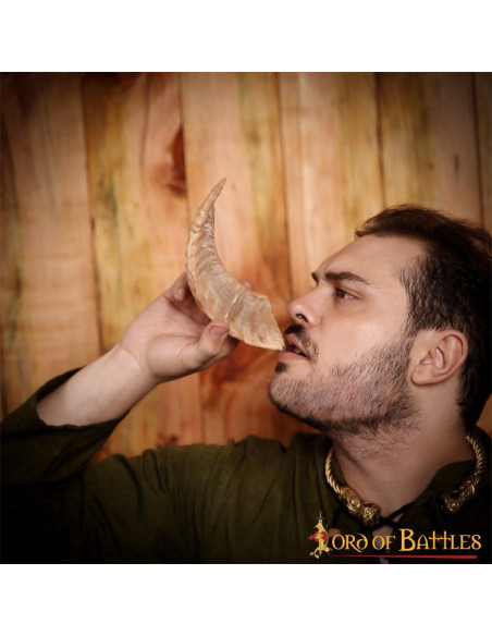 Viking drinking horn with natural...