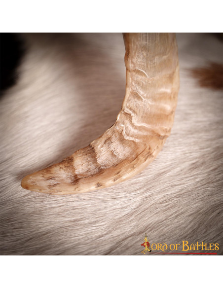 Viking drinking horn with natural...