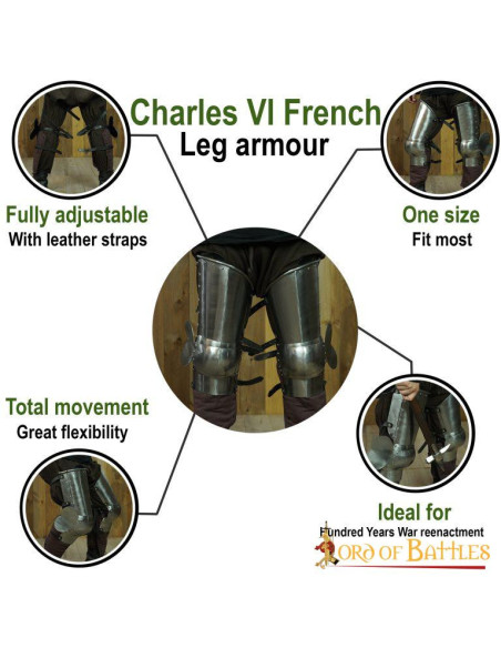 French Armor s. XIV for the leg