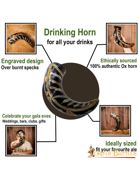 Viking horn with engraved designs...