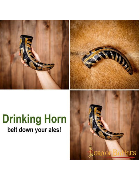 Viking horn with engraved designs...