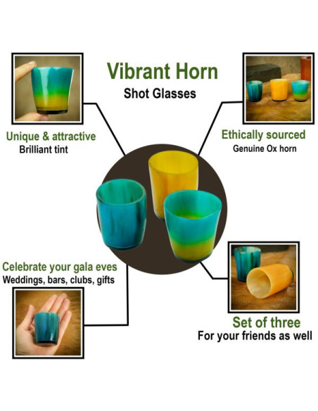 Set of 3 colorful ox horn shot glasses