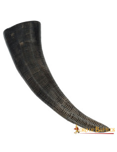 Viking drinking horn with carved scales