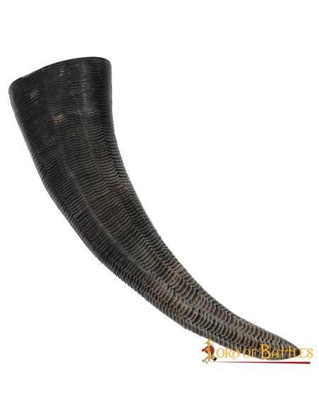 Viking drinking horn with carved scales