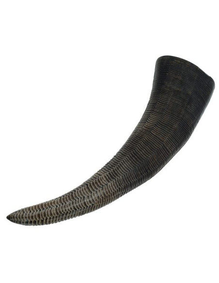 Viking drinking horn with carved scales