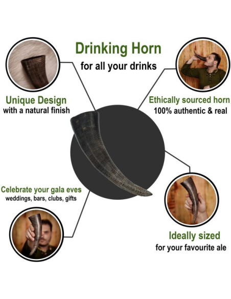 Viking drinking horn with carved scales