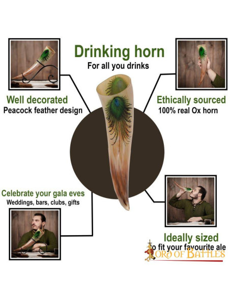 Drinking Horn with Ornate Designs