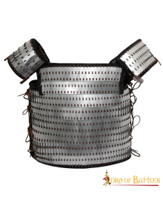 Viking scale armor with visby slats and plates