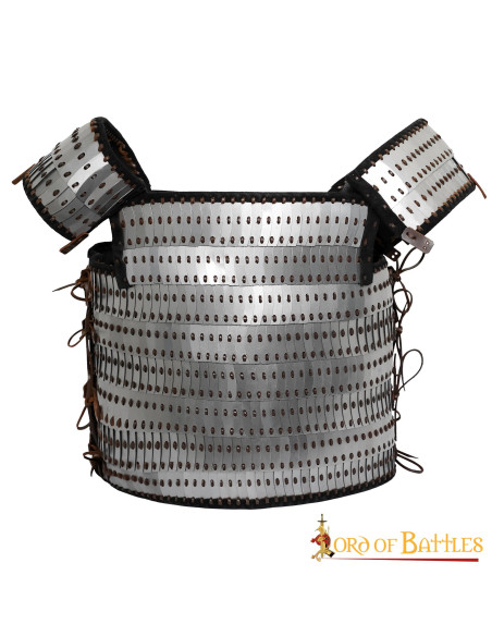 Viking scale armor with visby slats...