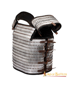 Viking scale armor with visby slats and plates 2