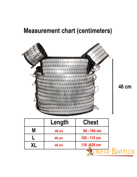 Viking scale armor with visby slats...