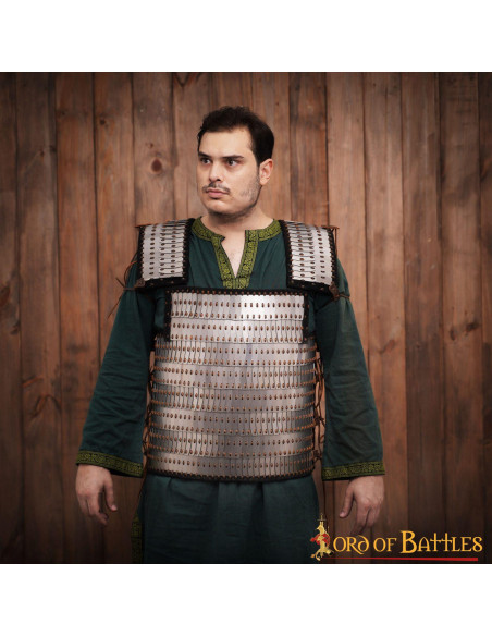 Viking scale armor with visby slats...