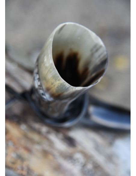 Celtic horn Vegvísir with support...