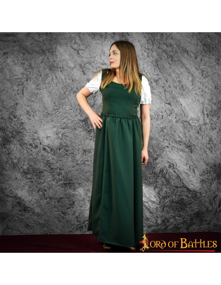 Medieval and Renaissance Goye...