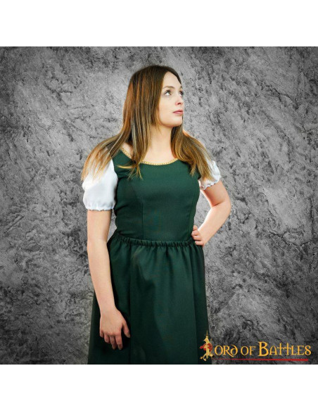 Medieval and Renaissance Goye...