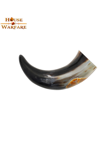 Viking drinking horn with vegvísir