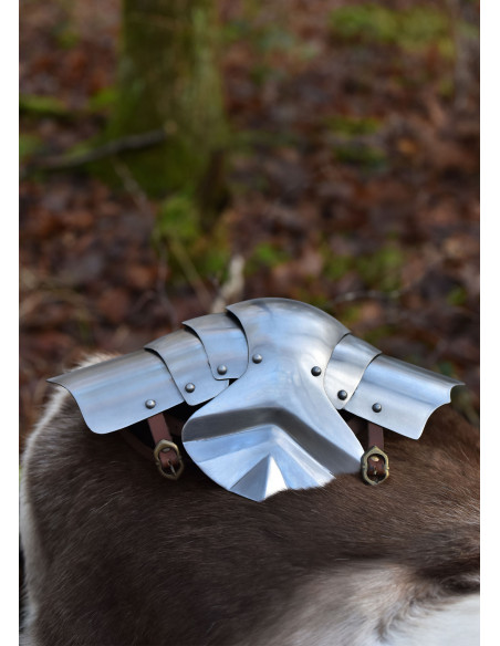 Pair of medieval knee pads in steel...