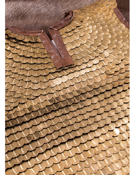 Roman Lorica Squamata (100-250 AD)