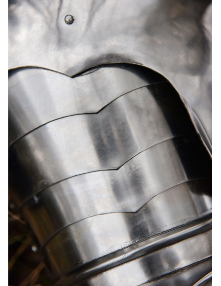 Medieval armor arm and steel pauldrons