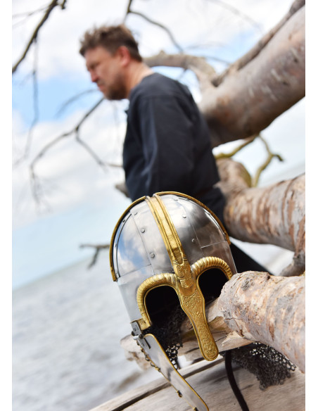 Coppergate Helmet, with Riveted...