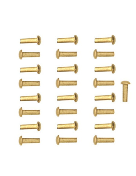 Set of 25 mushroom head brass rivets,...