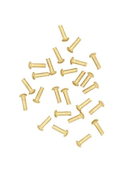 Set of 25 mushroom head brass rivets,...
