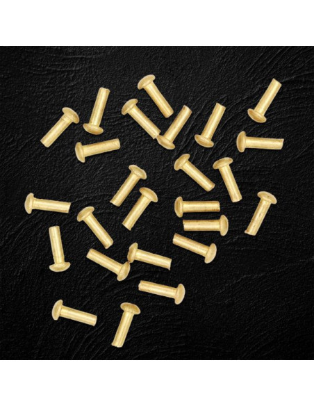 Set of 25 mushroom head brass rivets,...