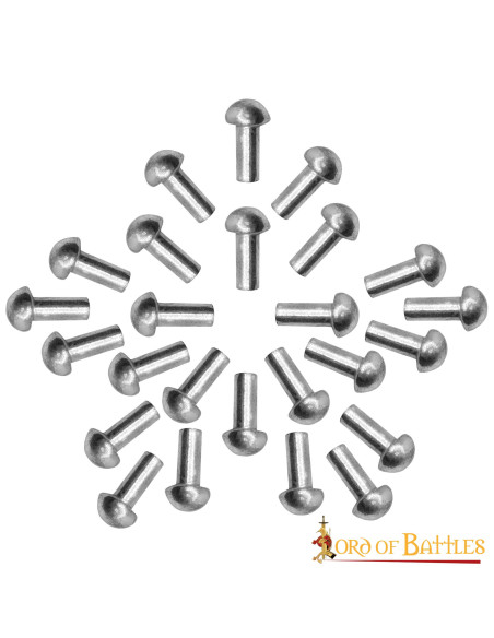Set of 25 silver rivets with mushroom...
